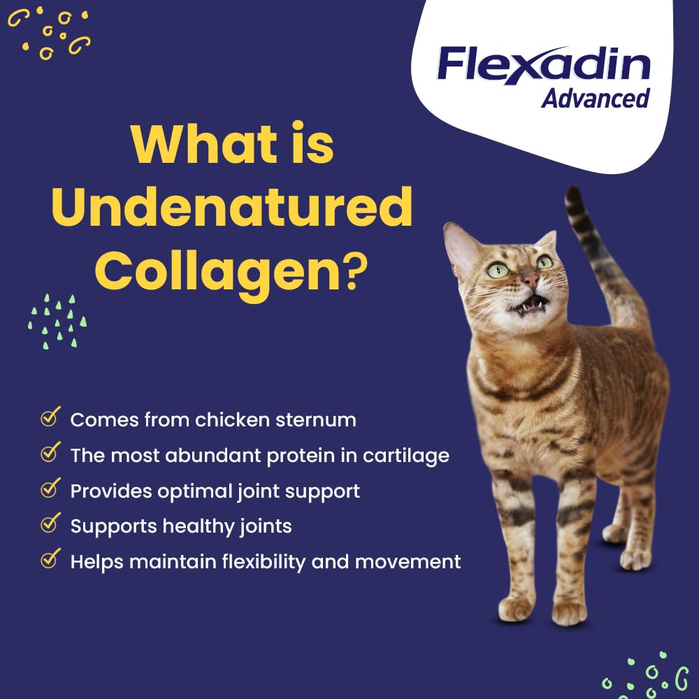 Vetoquinol Flexadin Omega-3 y vitamina E para movilidad de la mascota.