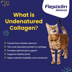 Vetoquinol Flexadin Omega-3 y vitamina E para movilidad de la mascota.