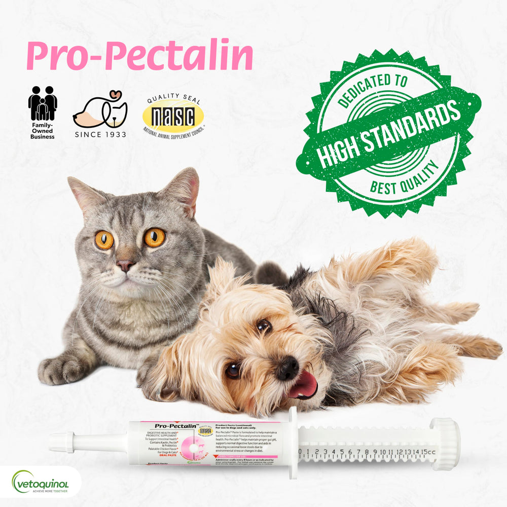 Pro-Pectalin de Vetoquinol para apoyo digestivo durante cambios de dieta.