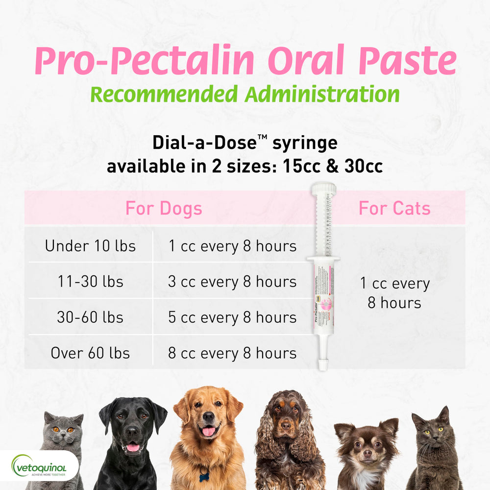 Enterococcus faecium incluido para equilibrio intestinal en Pro-Pectalin.