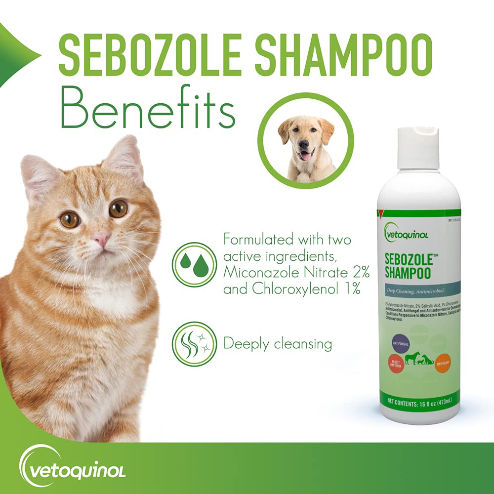 Vetoquinol Sebozole Champú espuma: espuma suave para el lavado de mascotas.