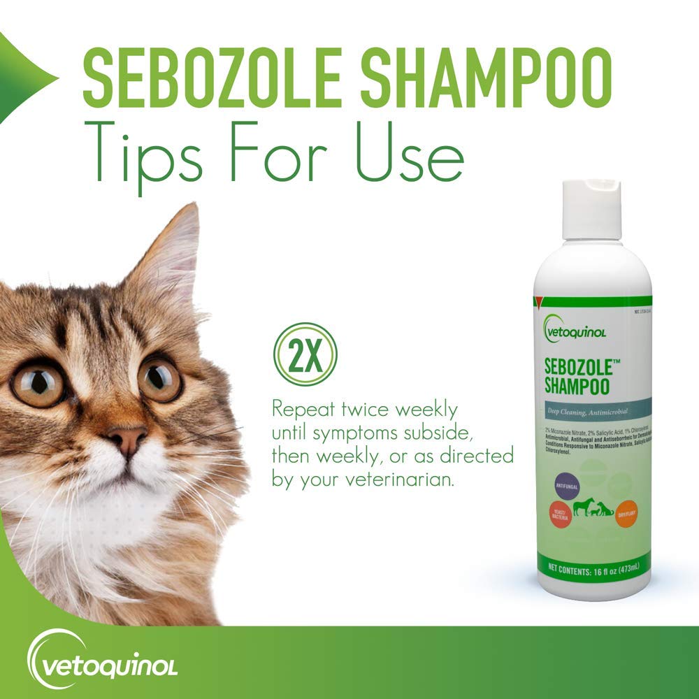 Vetoquinol Sebozole Champú gato: cuidado suave para felinos.
