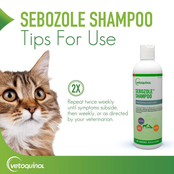 Vetoquinol Sebozole Champú gato: cuidado suave para felinos.