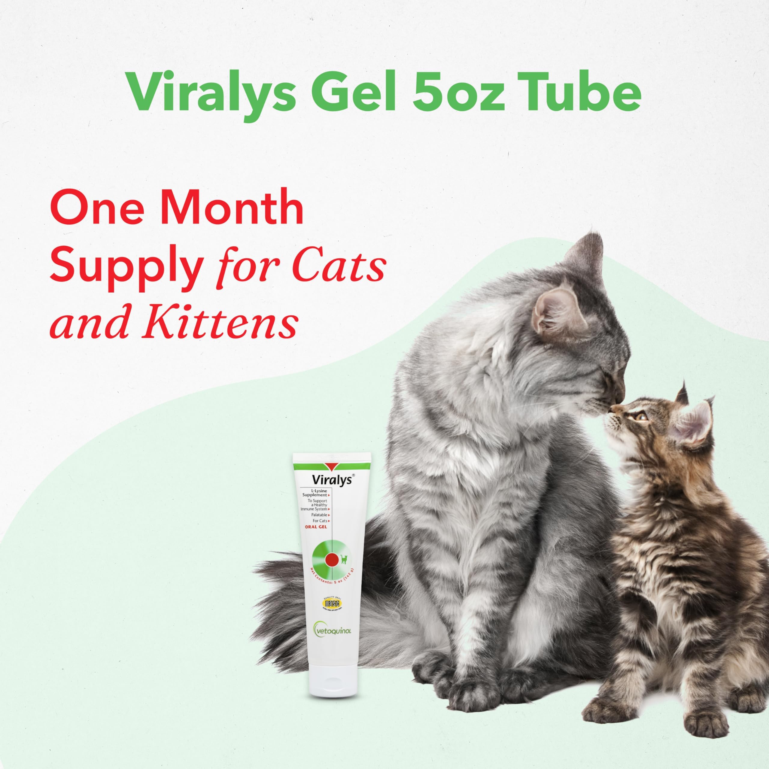 Aplicador de Viralys para dosis precisas en gatos.