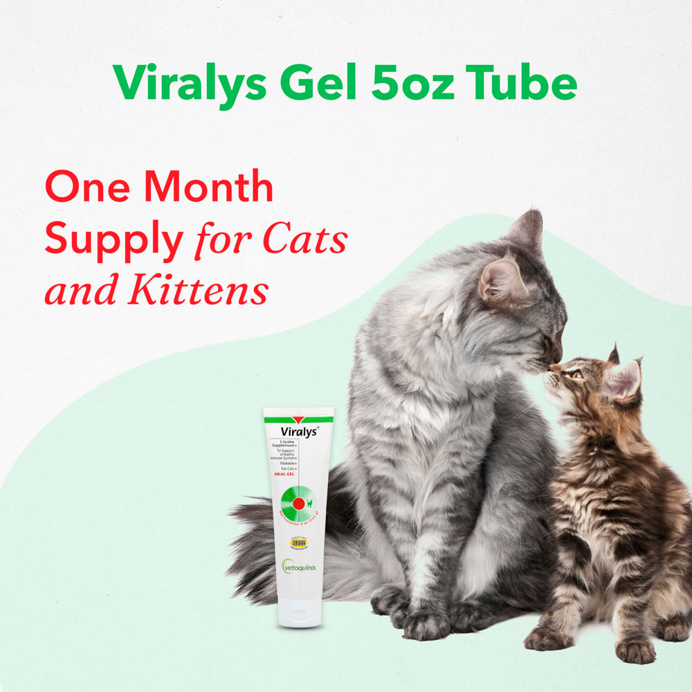Aplicador de Viralys para dosis precisas en gatos.