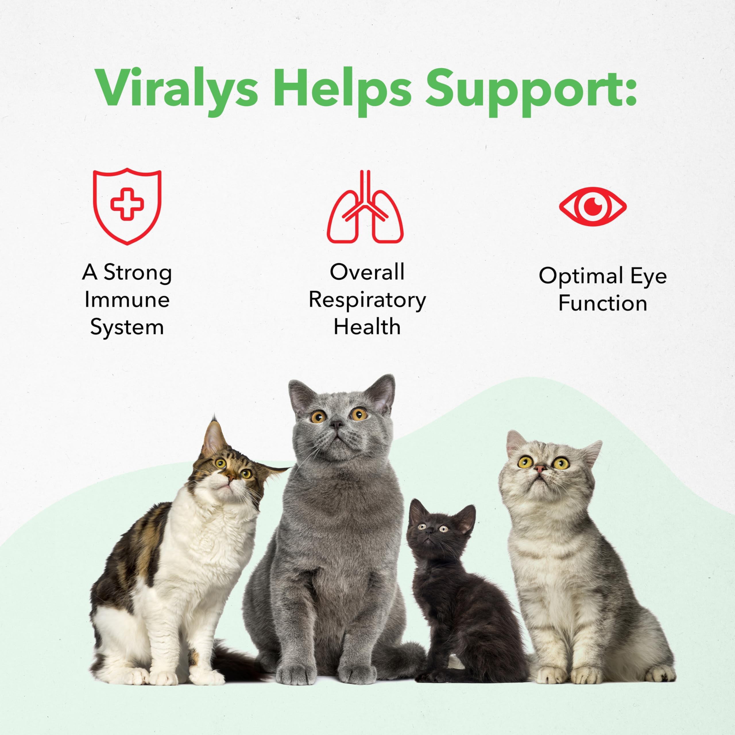 Vetoquinol Viralys lisina, apoyo inmunitario para gatos y gatitos.