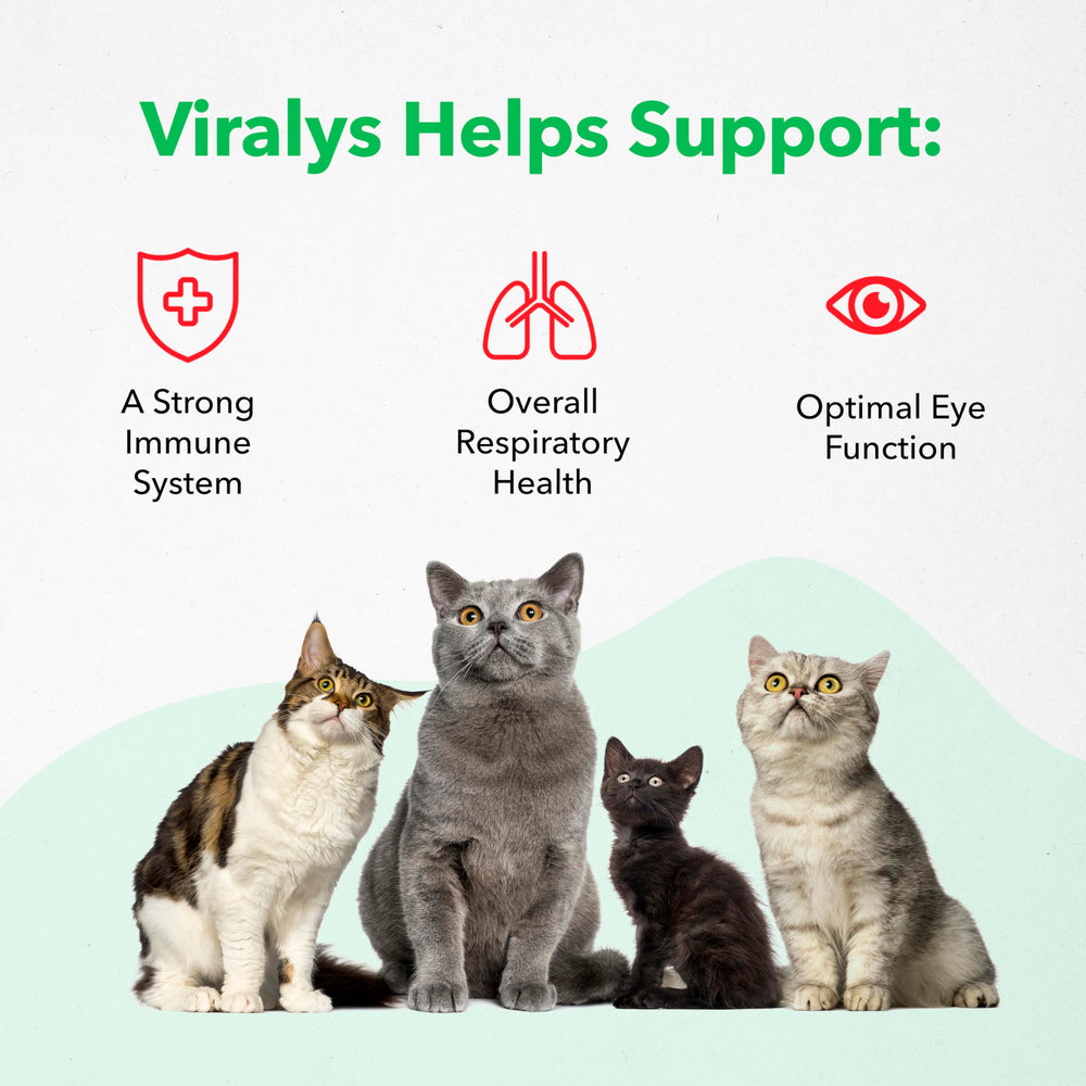 Vetoquinol Viralys lisina, apoyo inmunitario para gatos y gatitos.
