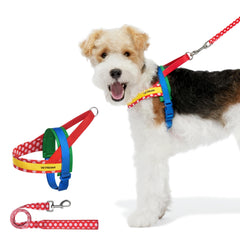 VETRESKA MoMA arnés para perro, estilo moderno y cómodo para paseos diarios.