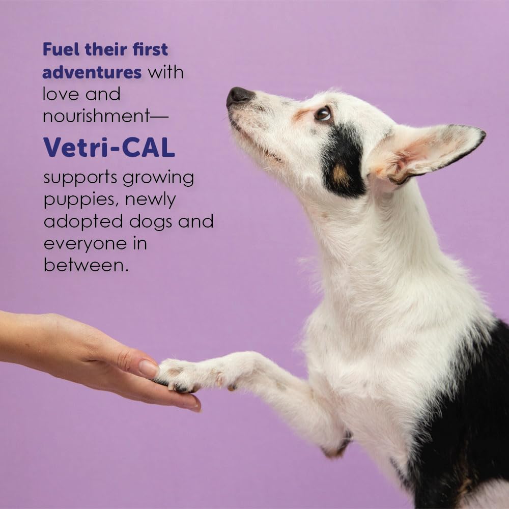 Vetri-CAL gel ayuda en recuperación y energía para mascotas activas.