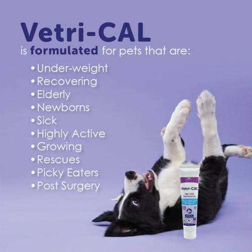Vetri-CAL gel sabor malt para mascotas, fácil de administrar.
