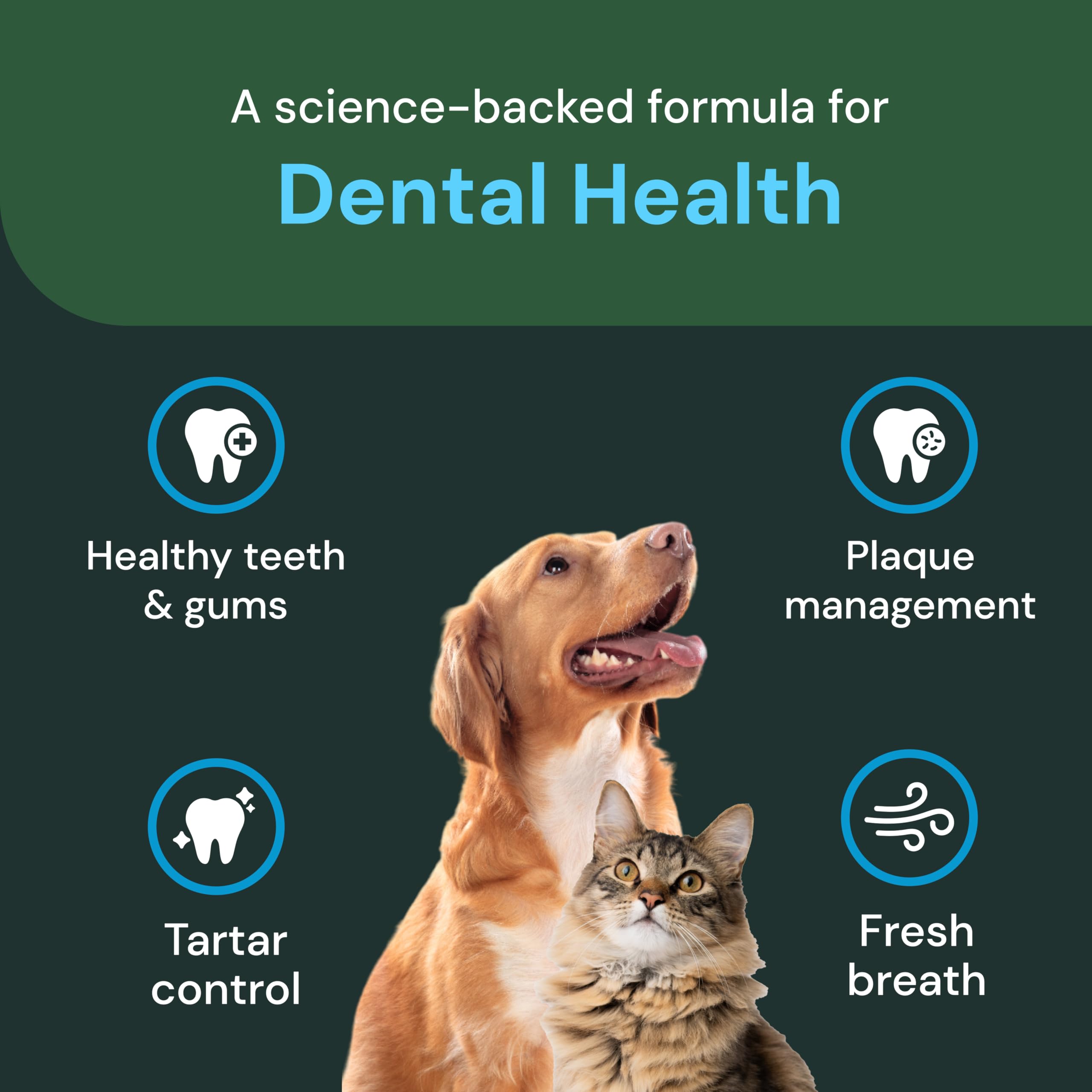 VetriScience Dental Care Powder útil para reducir placa y sarro de forma suave.