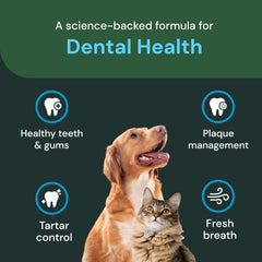 VetriScience Dental Care Powder útil para reducir placa y sarro de forma suave.