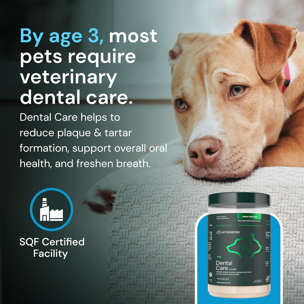 VetriScience Dental Care Powder listo para uso diario y aliento fresco.