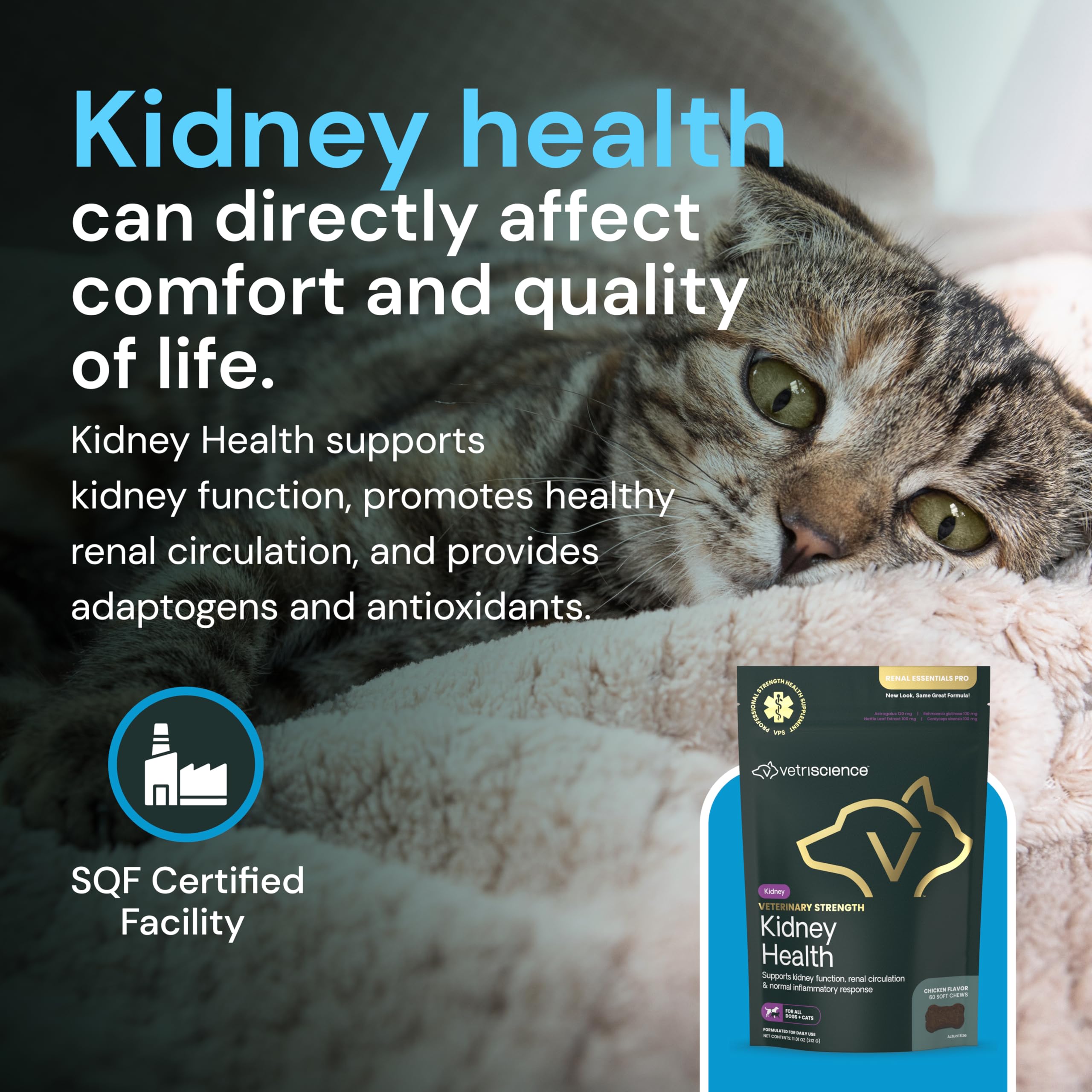 Masticables para felinos y caninos, apoyo diario al cuidado renal.