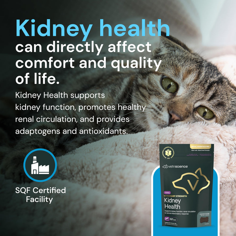 Masticables para felinos y caninos, apoyo diario al cuidado renal.