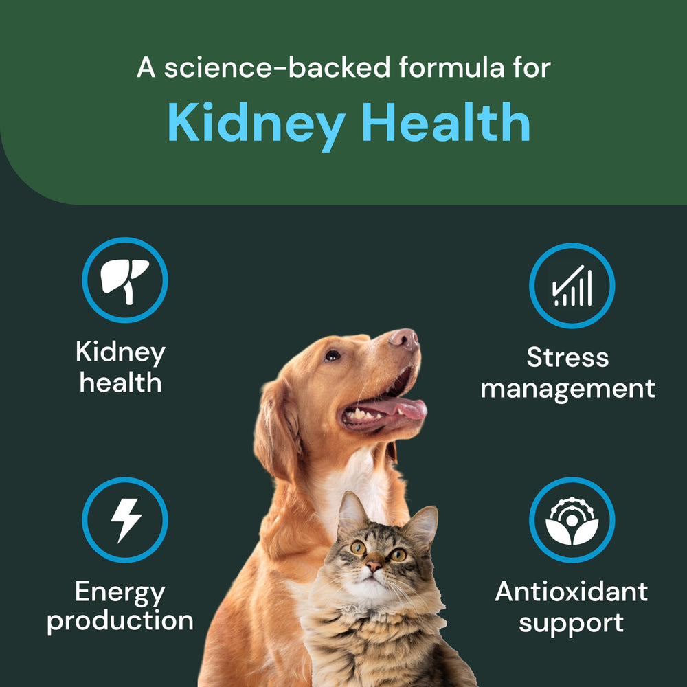 VETRISCIENCE masticables para perros y gatos, presentación atractiva para el cuidado diario.