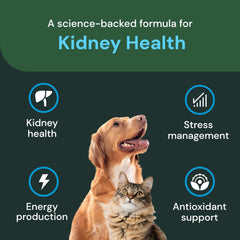 VETRISCIENCE masticables para perros y gatos, presentación atractiva para el cuidado diario.