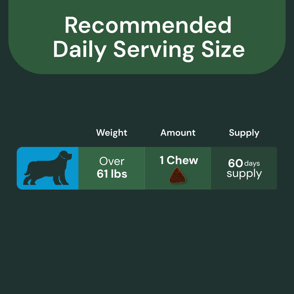 VETRISCIENCE nutrición articular completa para perros grandes.