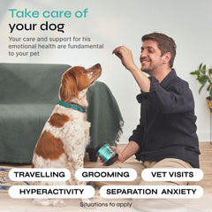 Vetrica masticables calmantes, textura suave: experiencia agradable para el paladar canino