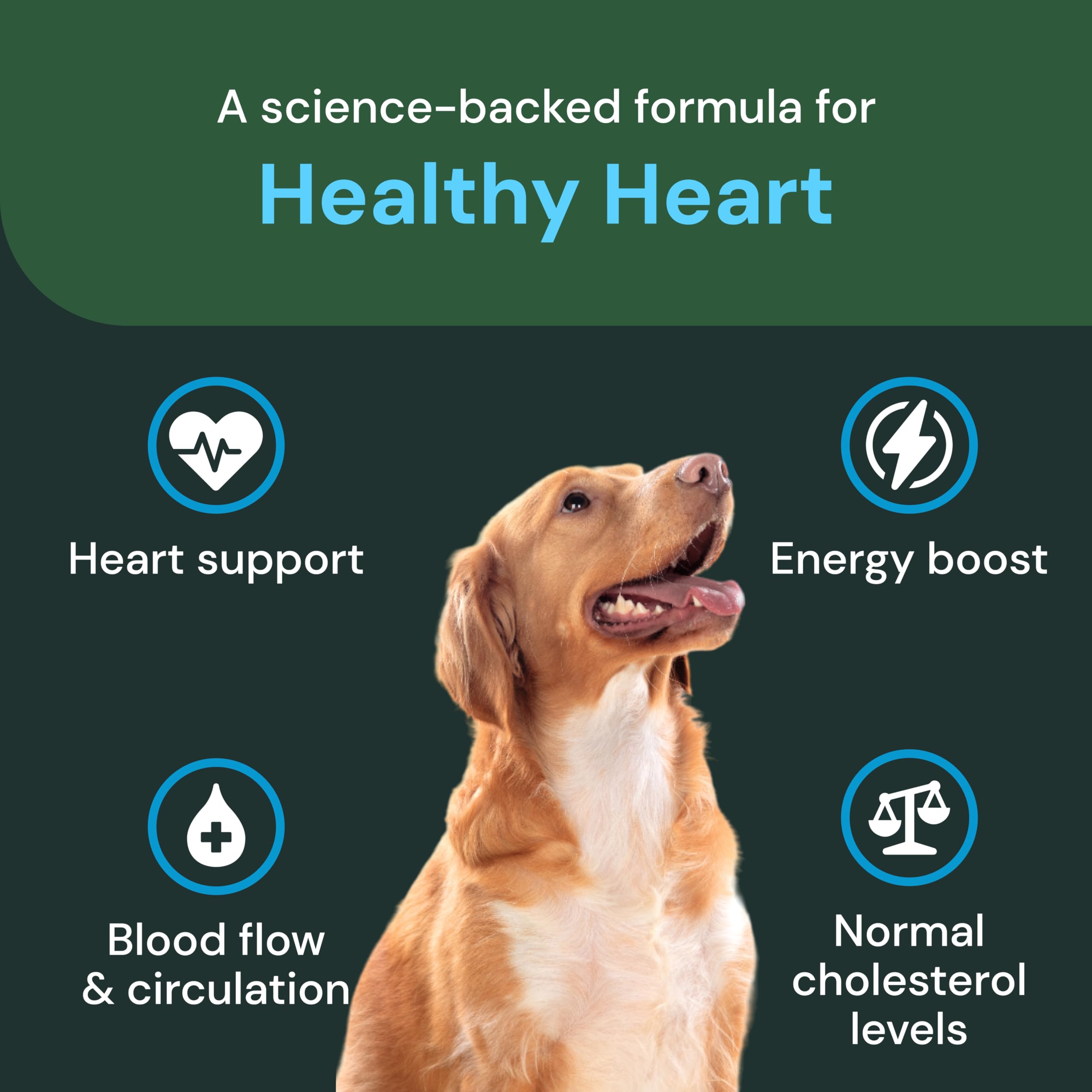 VETRISCIENCE Apoyo cardiovascular en masticables para mascotas.