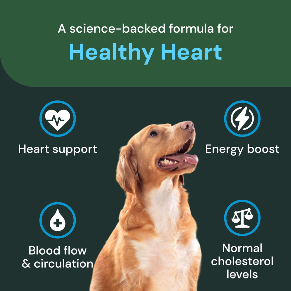 VETRISCIENCE Apoyo cardiovascular en masticables para mascotas.