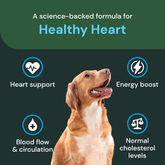 VETRISCIENCE Apoyo cardiovascular en masticables para mascotas.