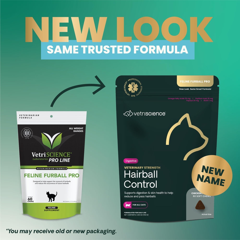 VetriScience Apoyo-digestivo-gatos: sabor agradable y apoyo digestivo diario