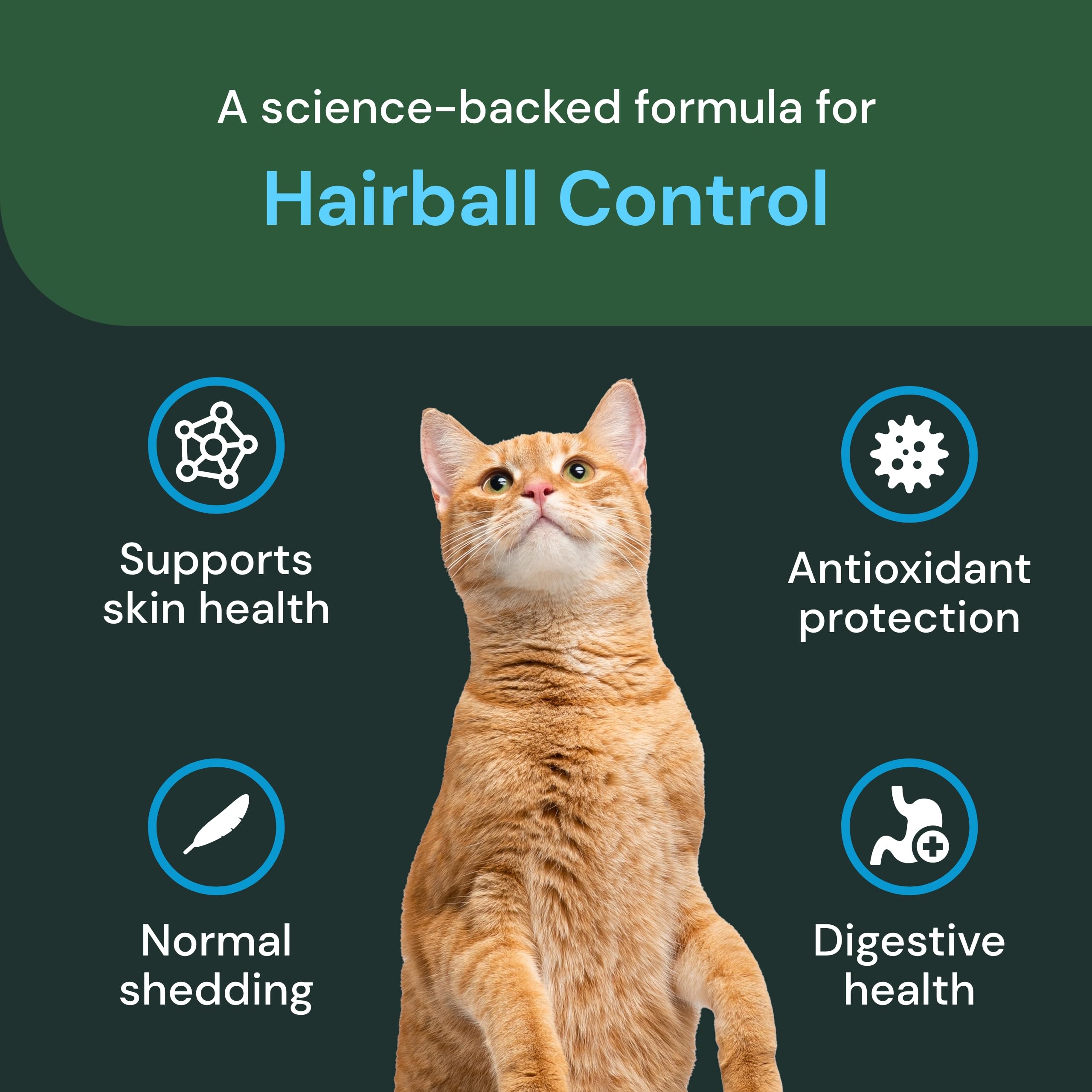 VetriScience Cuidado-piel-y-pelaje-gatos: promueve hidratación y pelaje sedoso