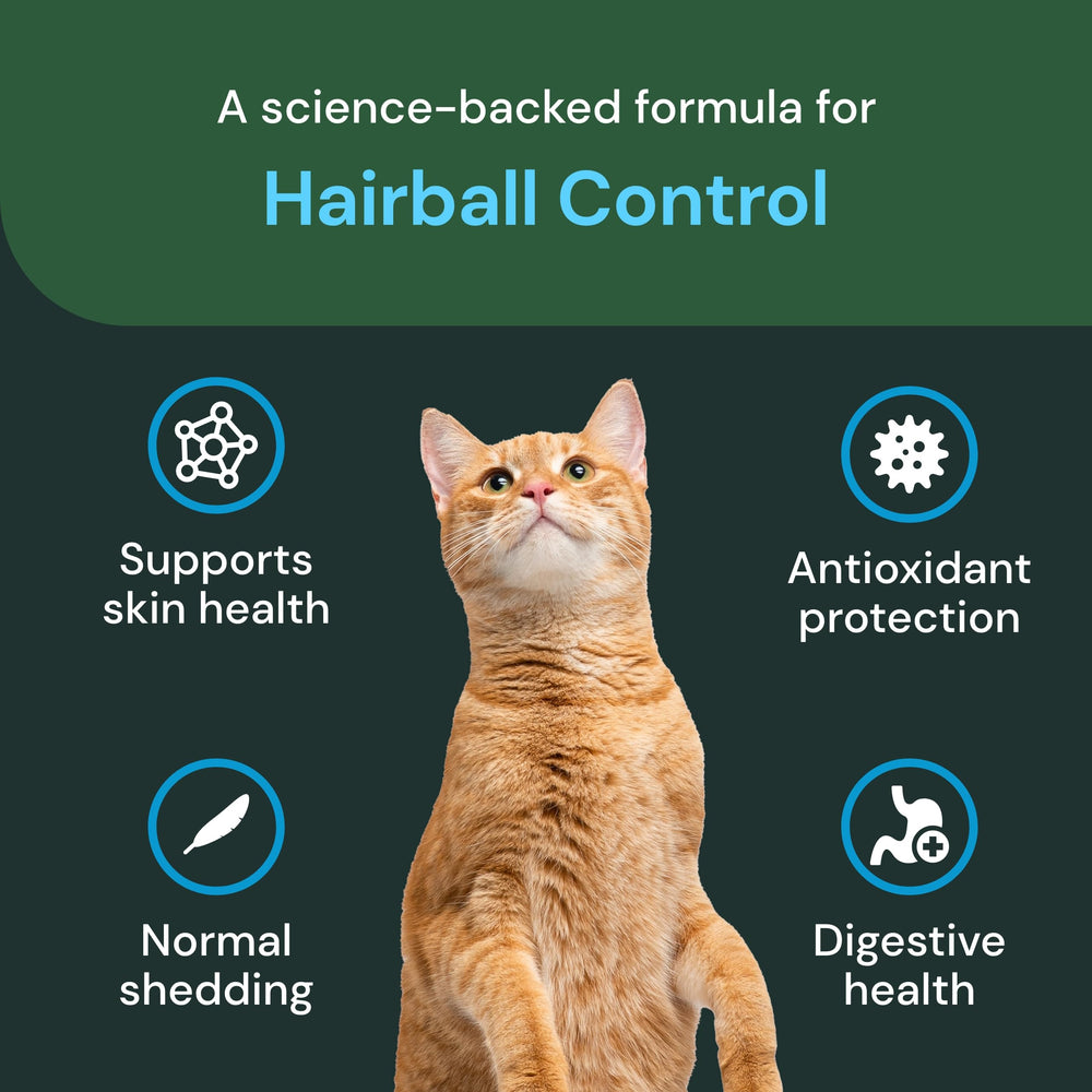 VetriScience Cuidado-piel-y-pelaje-gatos: promueve hidratación y pelaje sedoso