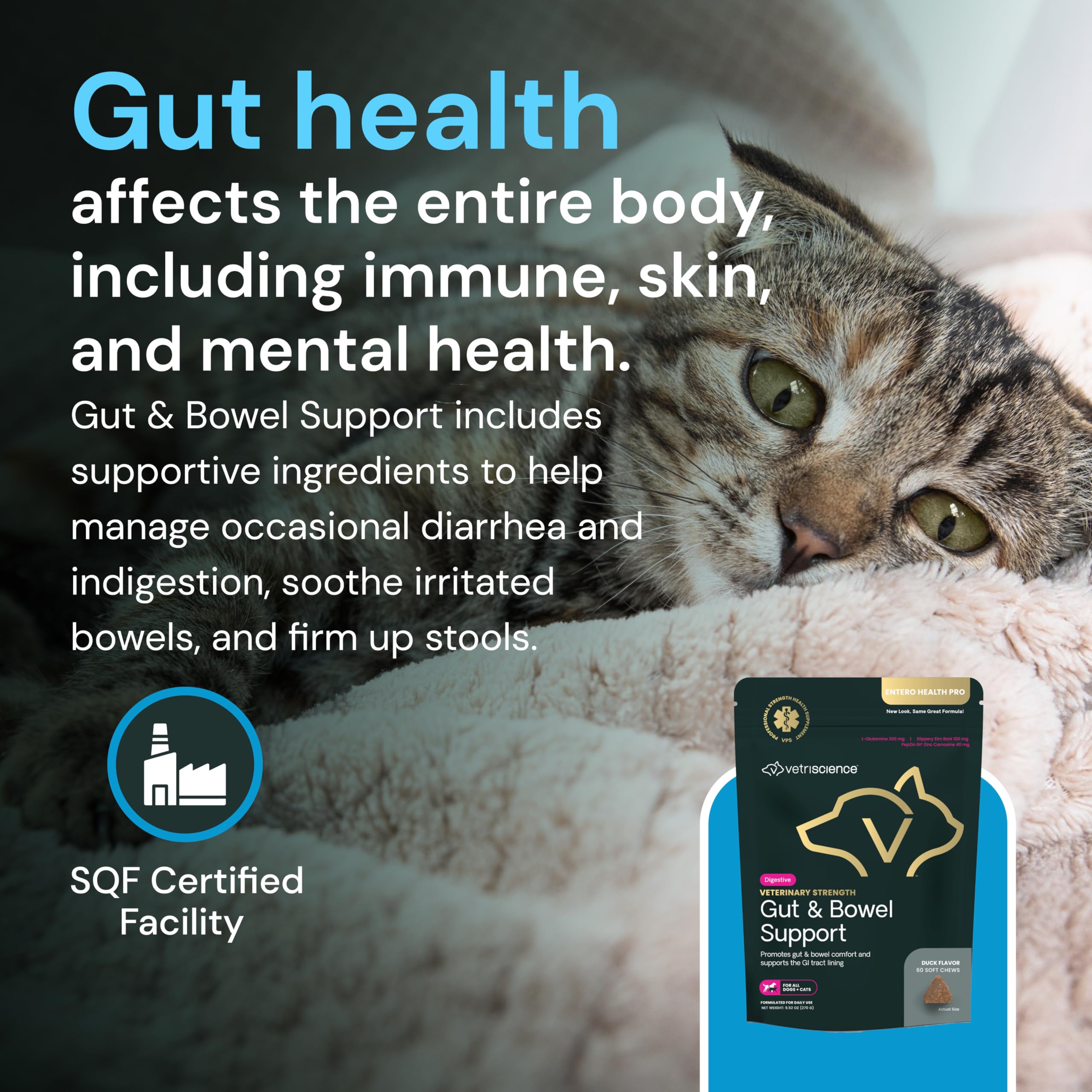 VETRISCIENCE icono digestivo, representación de salud intestinal.