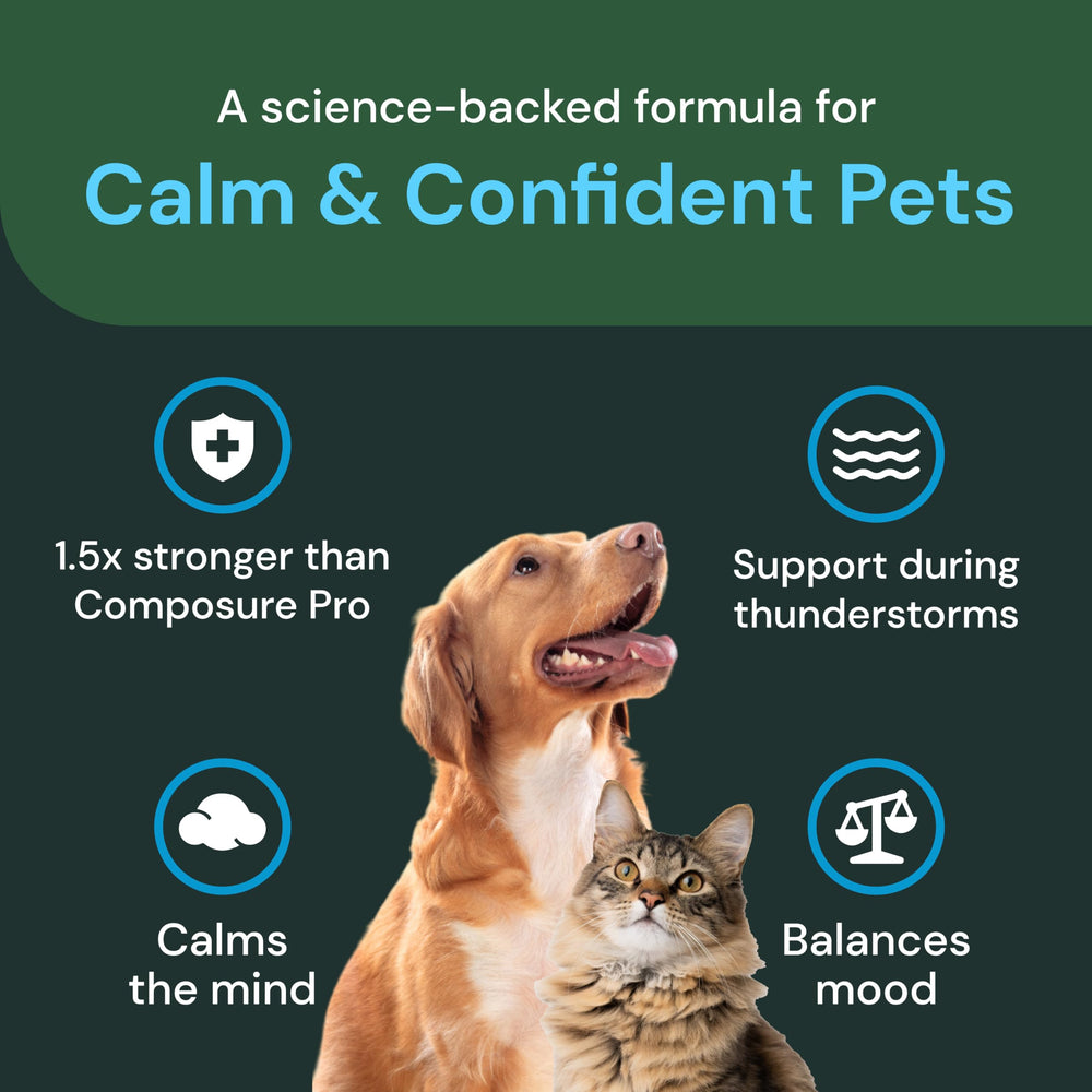 Imagen de extracto de melisa, ingrediente calmante para mascotas VetriScience Max.