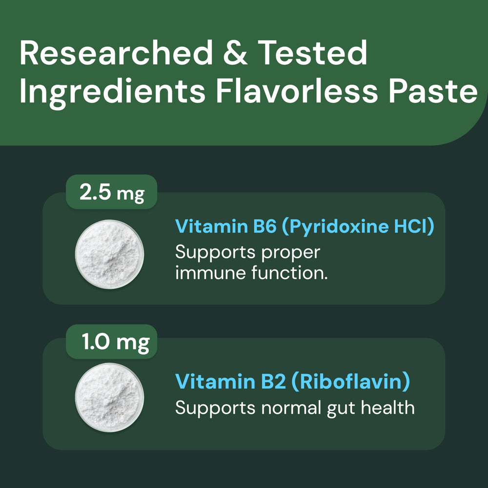 VETRISCIENCE suplemento digestivo para mascotas