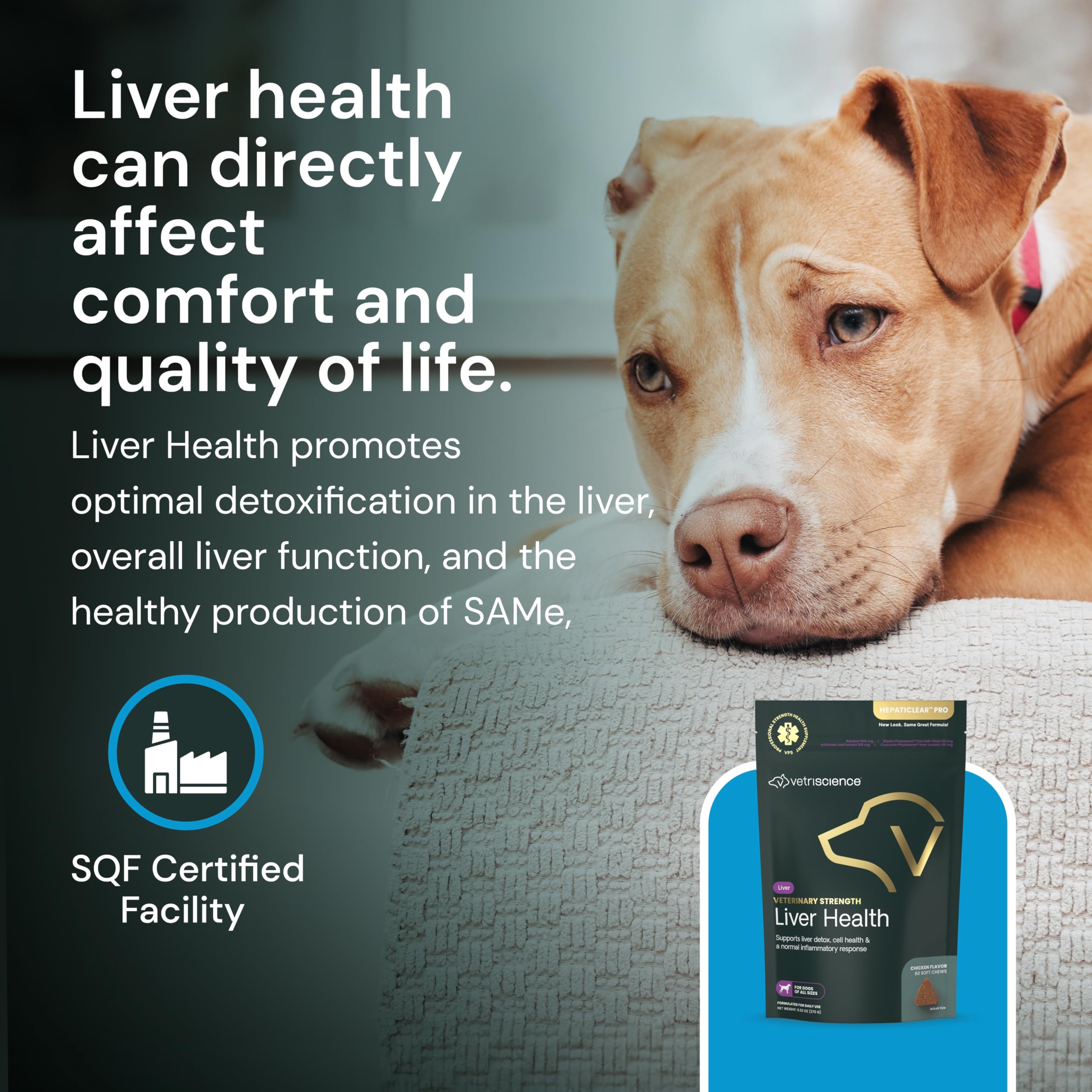 VetriScience sabor-aceptable: suplemento agradable para perros