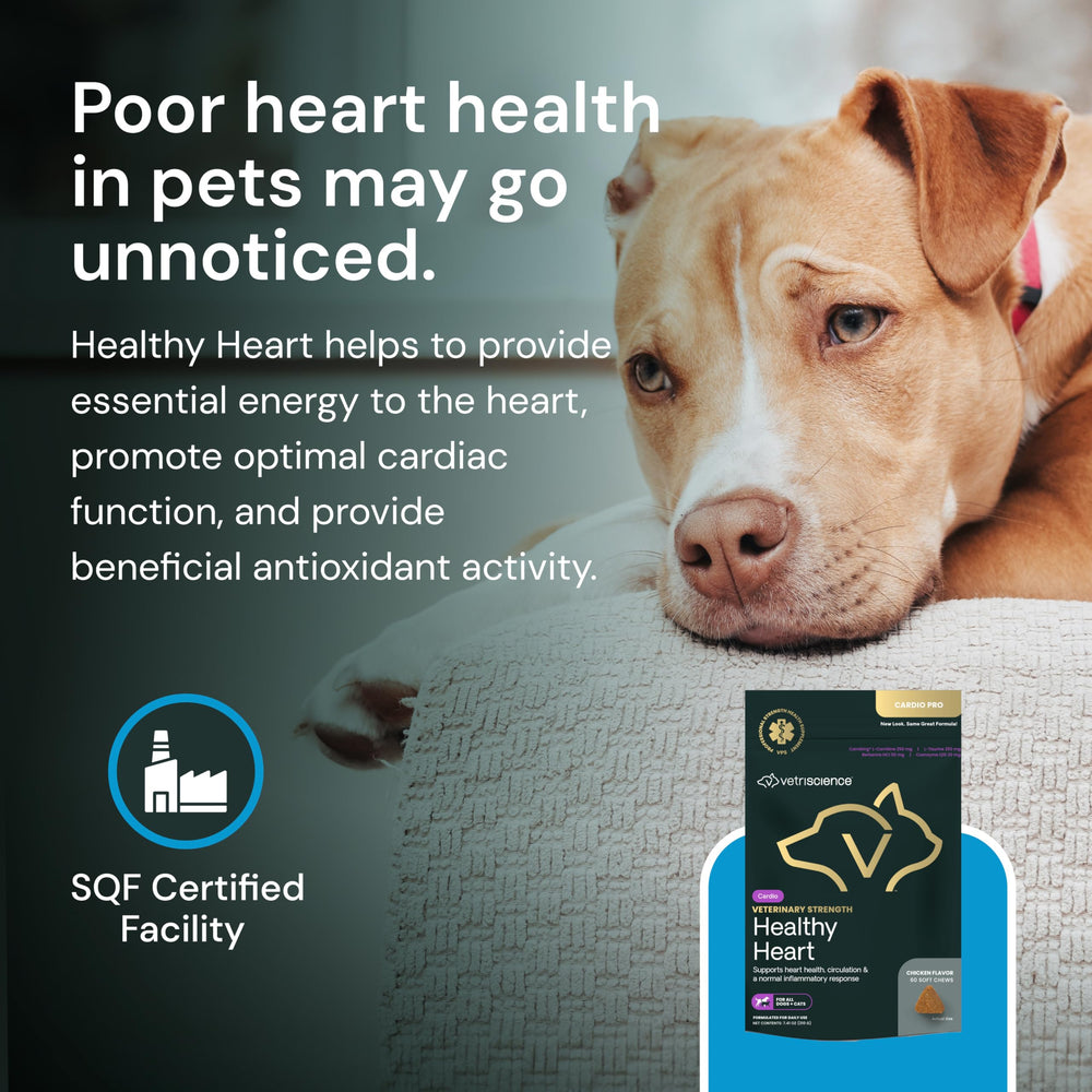 VETRISCIENCE Sabor pollo agradable para perros y gatos.