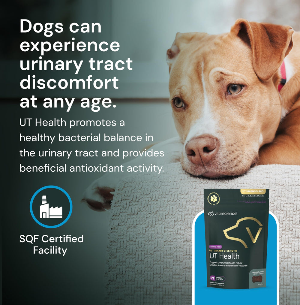 Fórmula de origen natural VetriScience UT Health Chews para perros