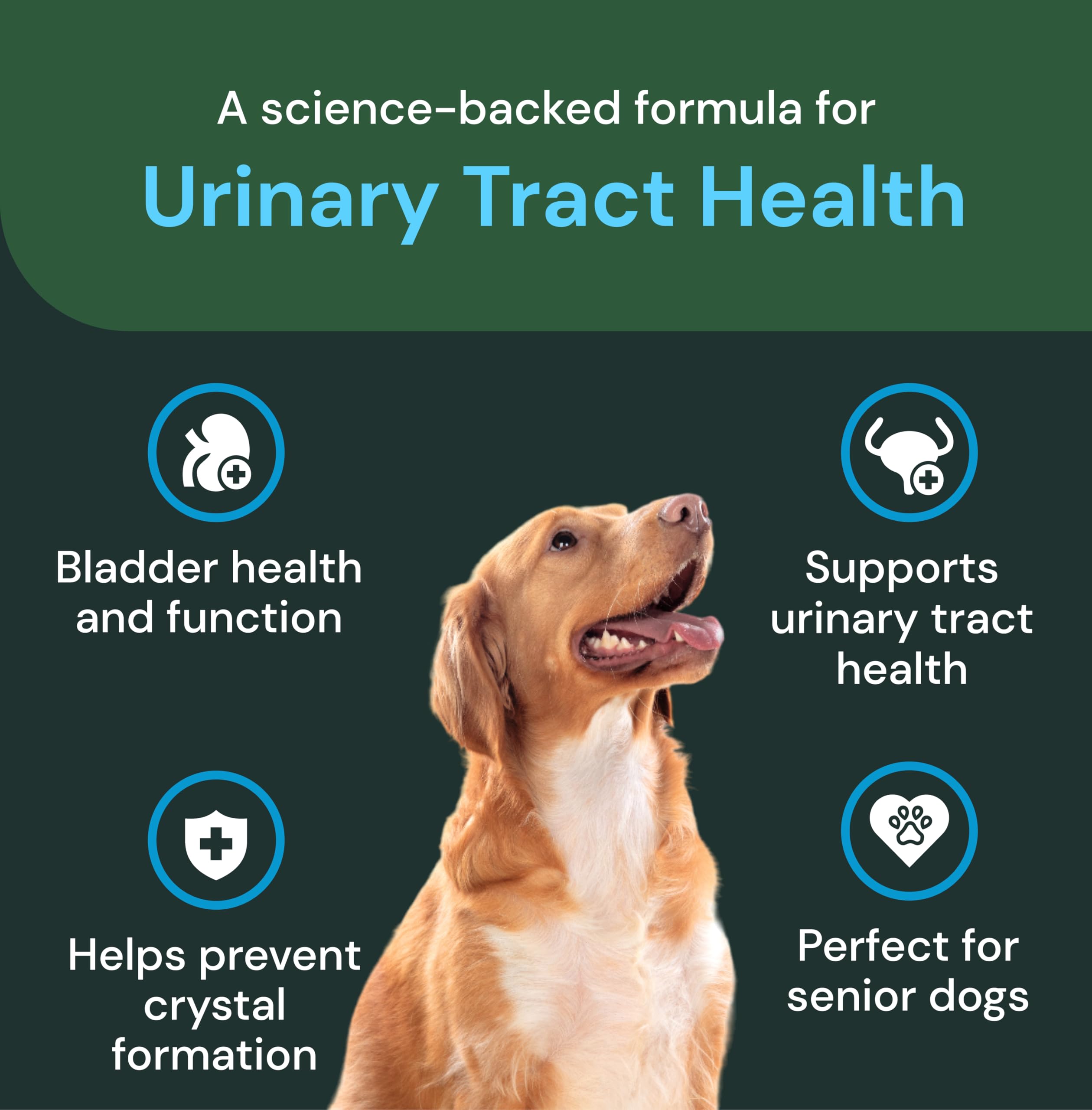 Ingredientes clave de VetriScience UT Health Chews en etiqueta