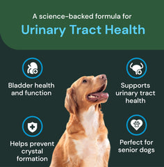 Ingredientes clave de VetriScience UT Health Chews en etiqueta