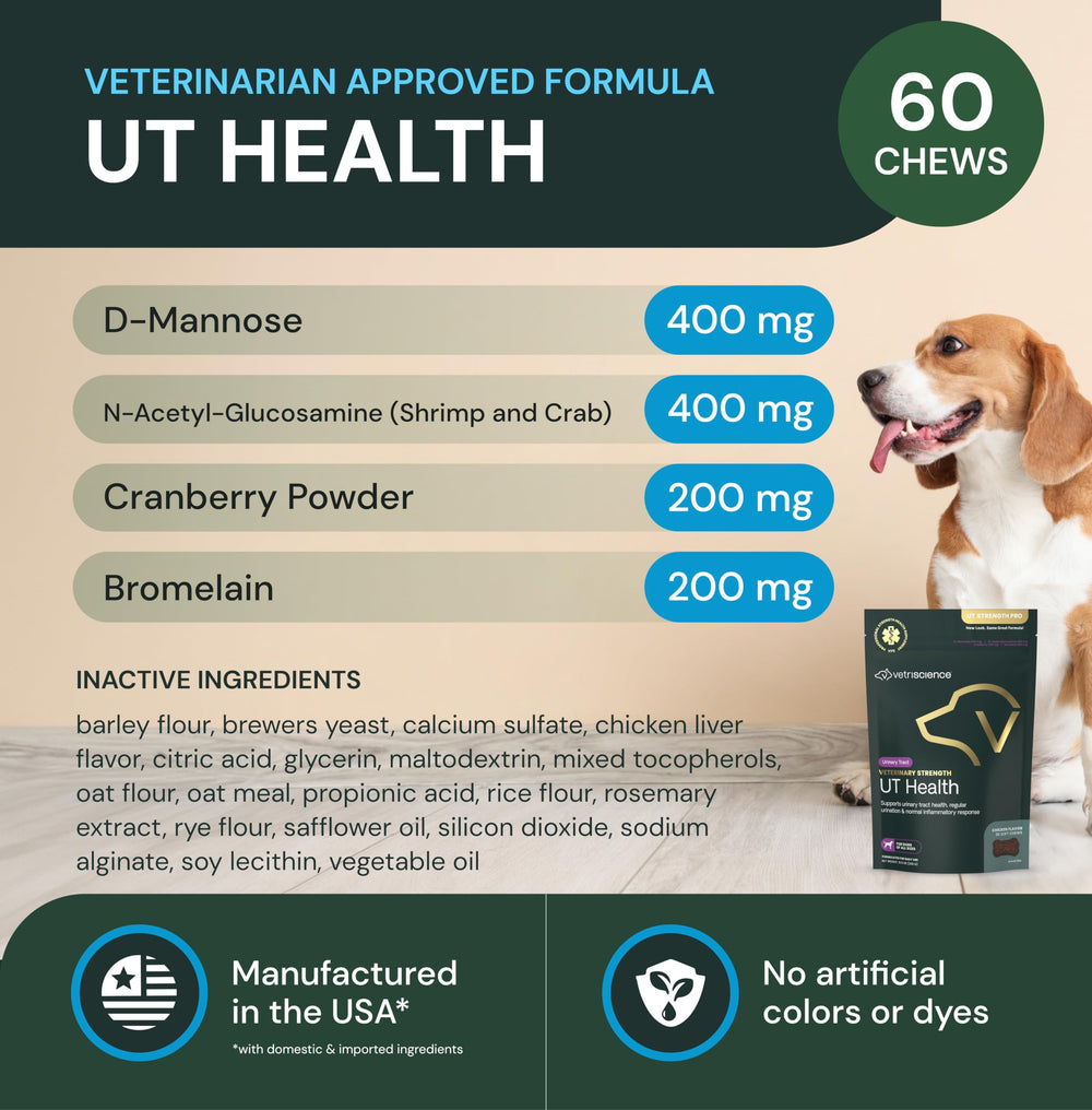 Tabletas masticables VetriScience UT Health Chews en la mano de un dueño