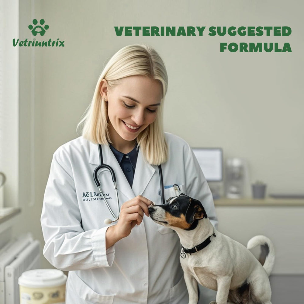 Vetriuntrix frasco bocadillos perro, formato práctico de 200 bocadillos.