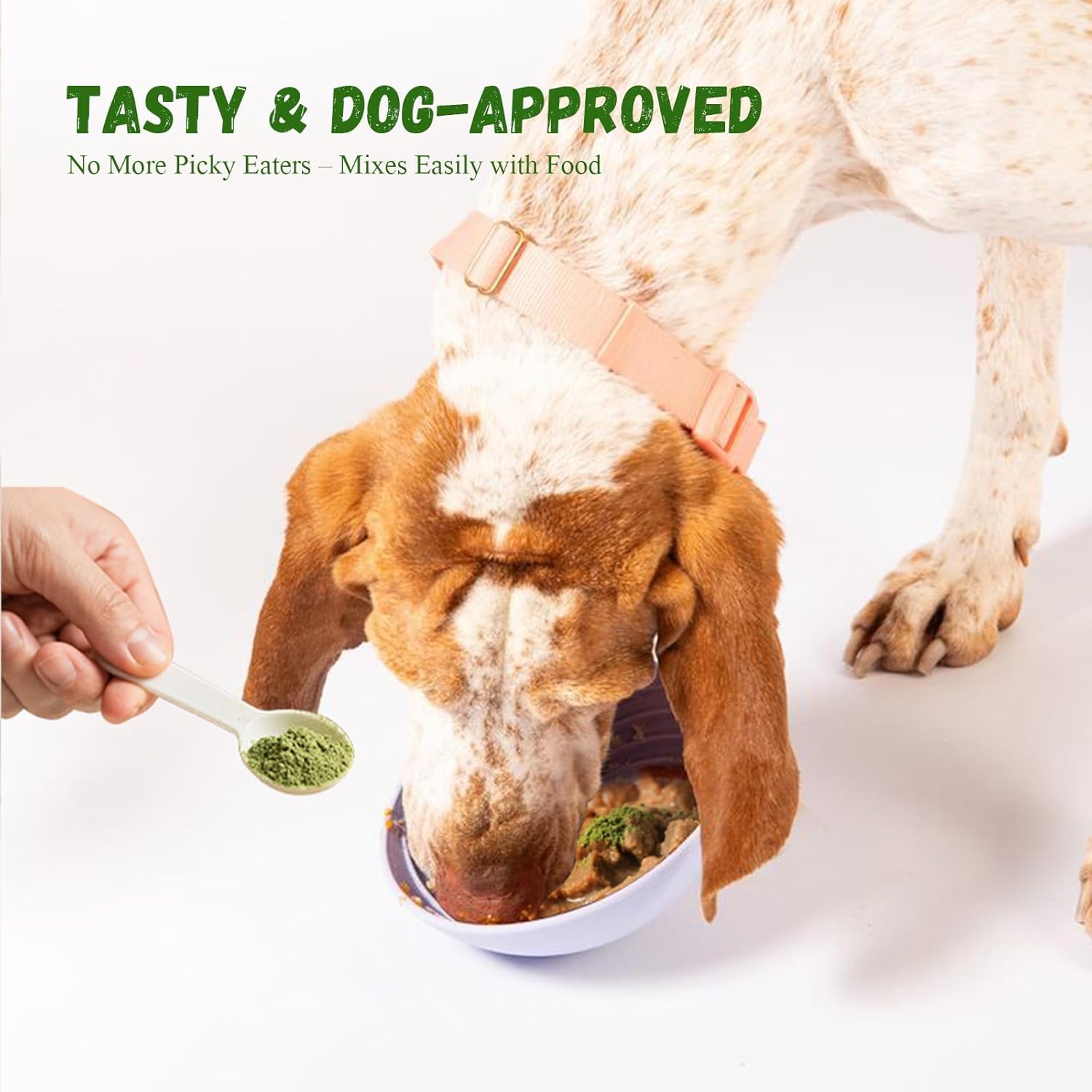 Vetriuntrix Polvo Dental para Perros, ingredientes naturales cuidan dientes y digestión suave.