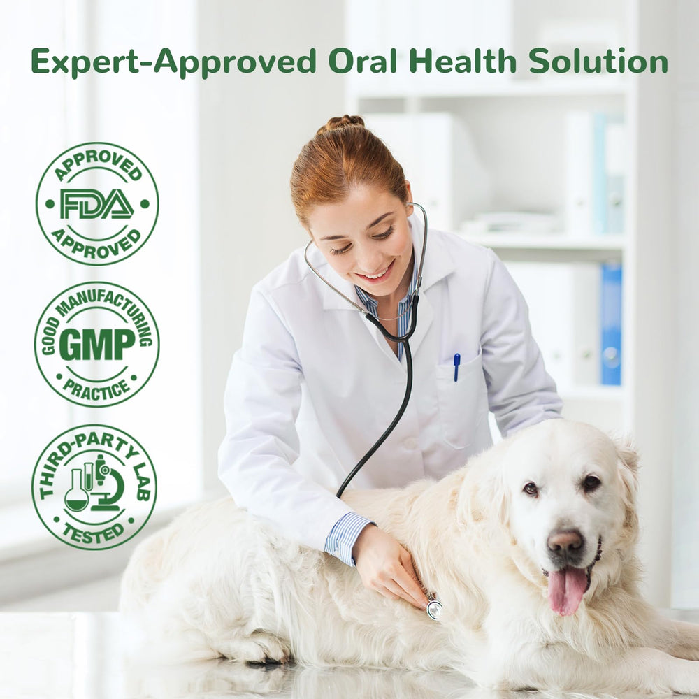 Vetriuntrix polvo dental para perros, aliento más fresco tras cada comida.