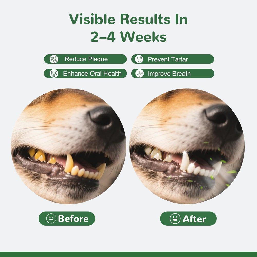 Vetriuntrix polvo dental para perros, aplicación diaria sobre comida sin cepillado.
