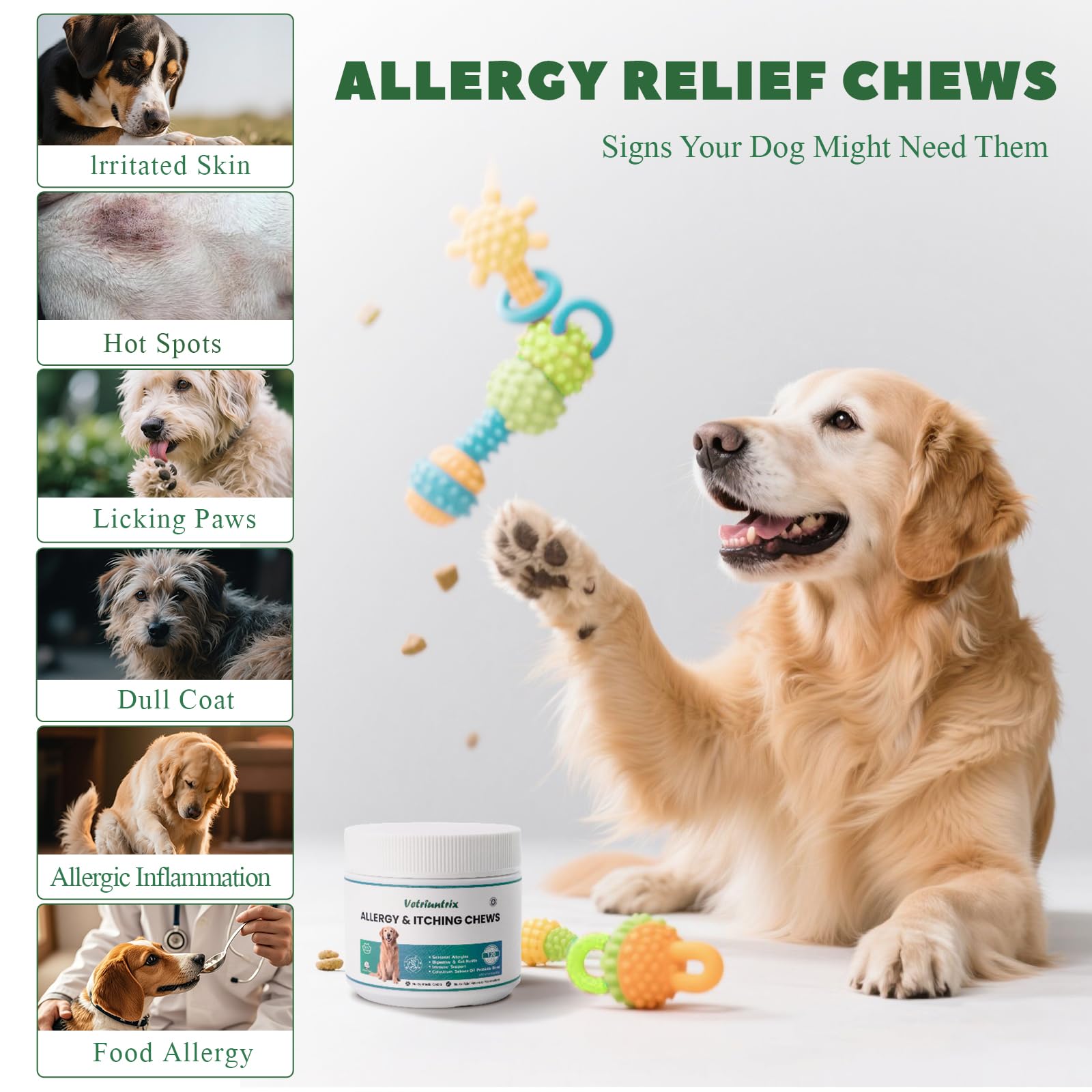 Vetriuntrix probióticos para perros que apoyan inmunidad y digestión