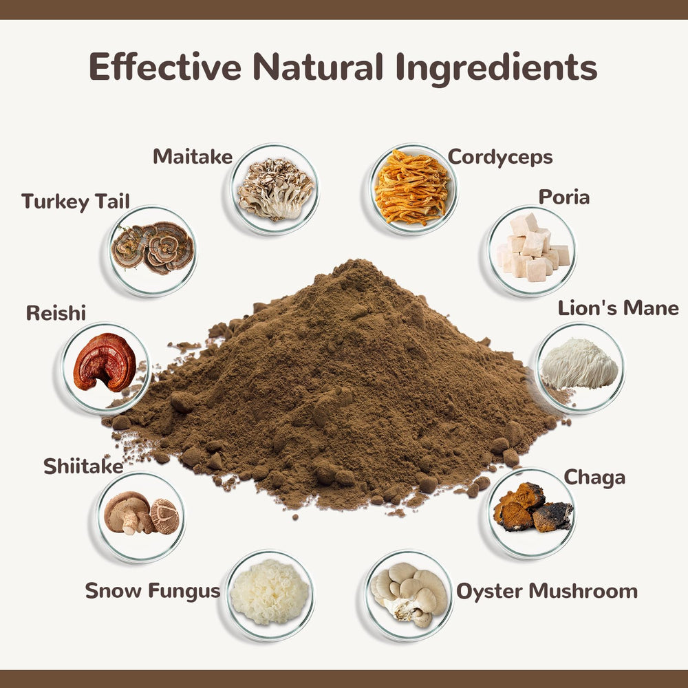 Vetriuntrix Turkey Tail: polvo texturizado, promueve salud intestinal.