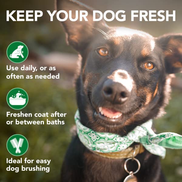 Vet's Best Moisture Mist: cuidado diario para perros de todas las edades.
