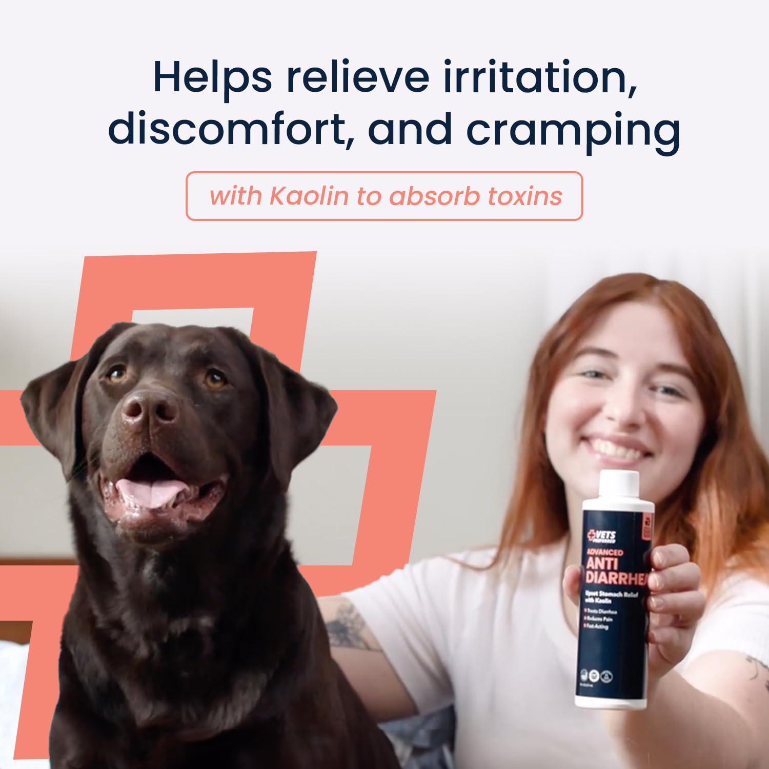 Vets Preferred Kaolín Mezclar Con Comida Perro: integración simple en las comidas diarias