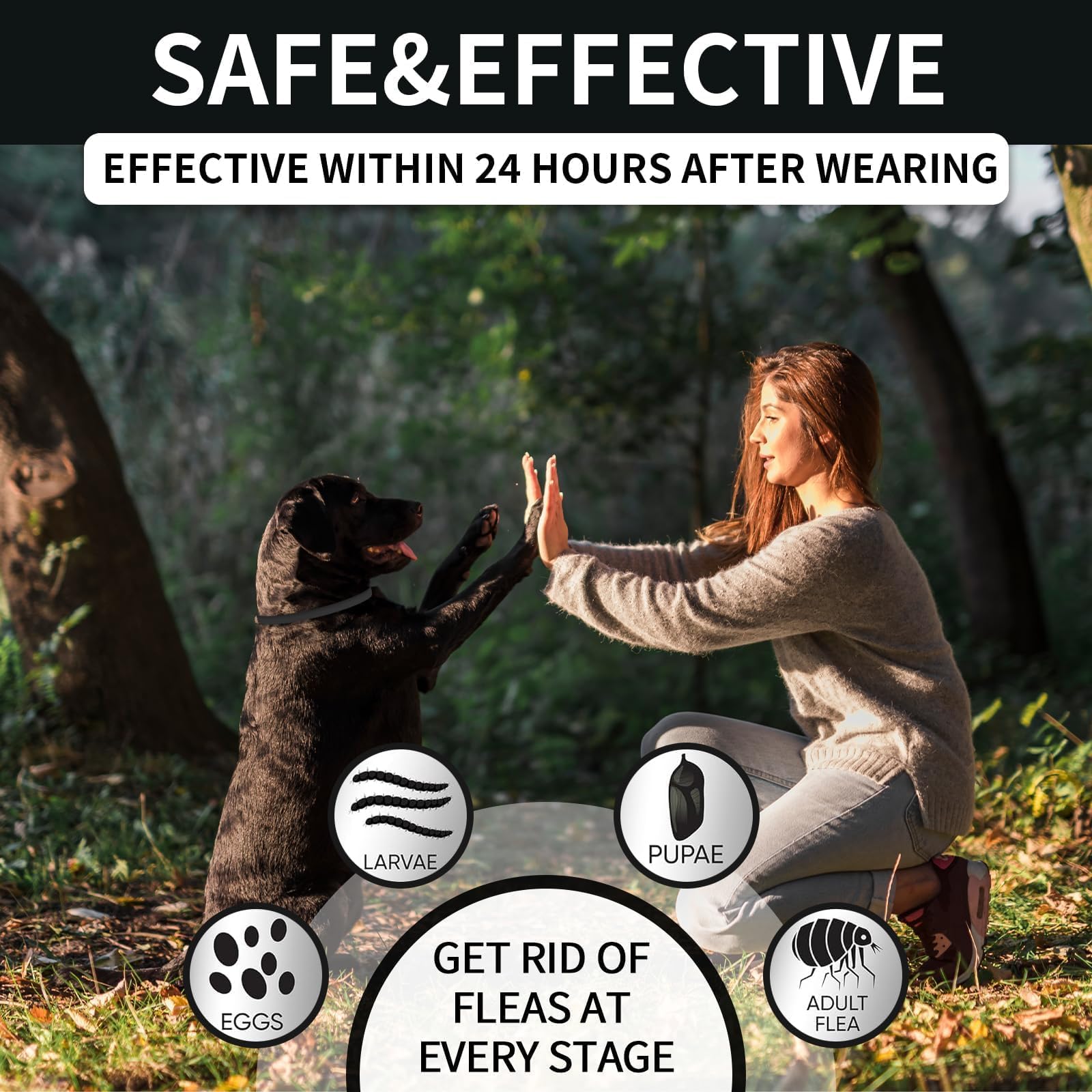 Collar VICSOM resistente al agua, ideal para juegos y lluvia.