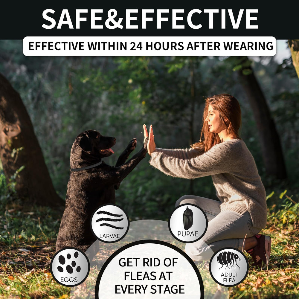 Collar VICSOM resistente al agua, ideal para juegos y lluvia.