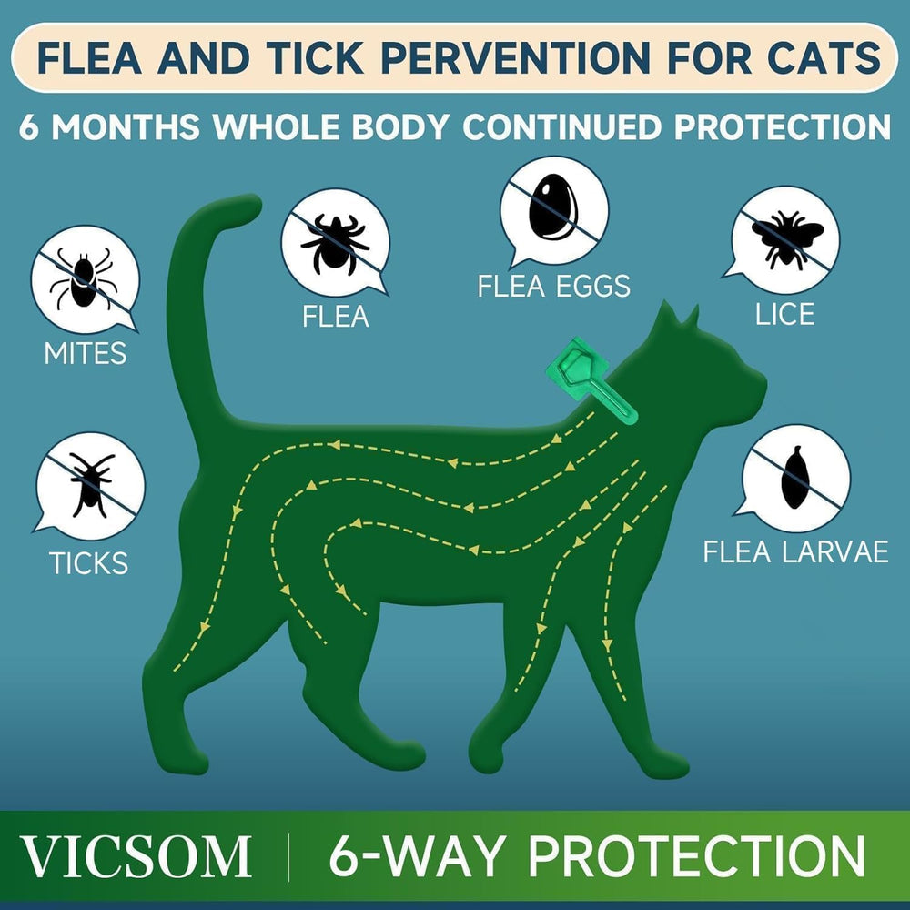 Protección de 24 horas con VICSOM para gatos y gatitos.