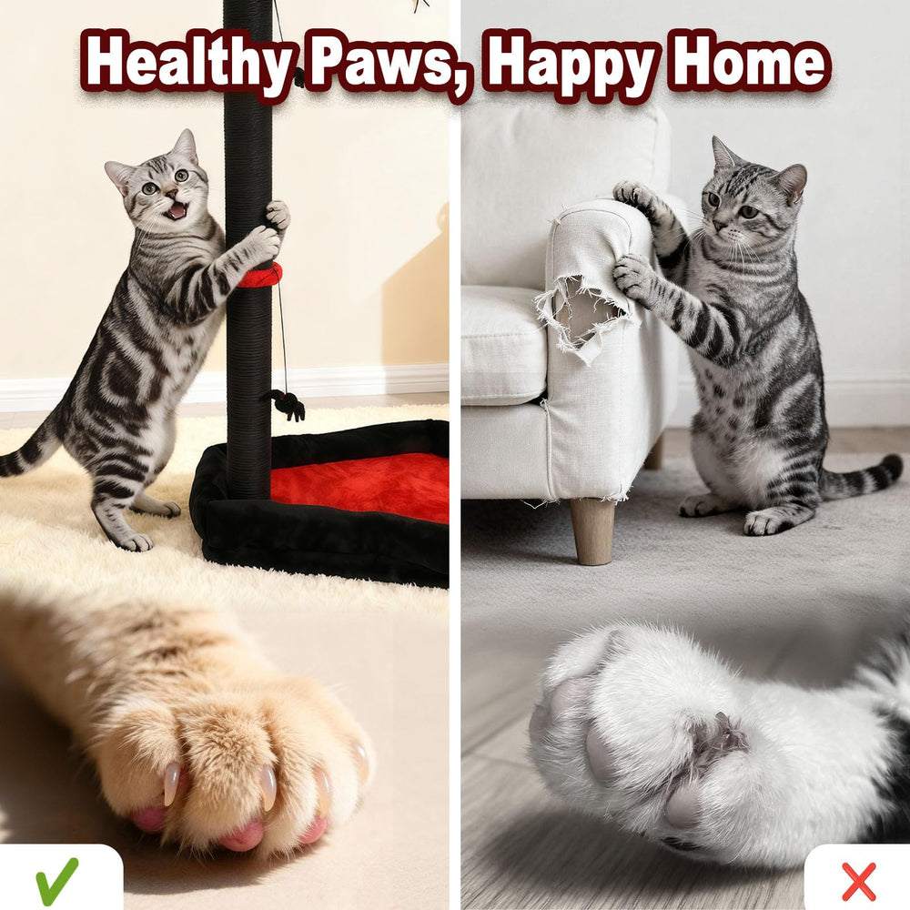 VIEFIN base ataud con diseño gótico, añade estilo al rincón del gato